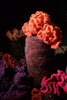 Crochet anemone by Margaret Wertheim © Institute For Figuring